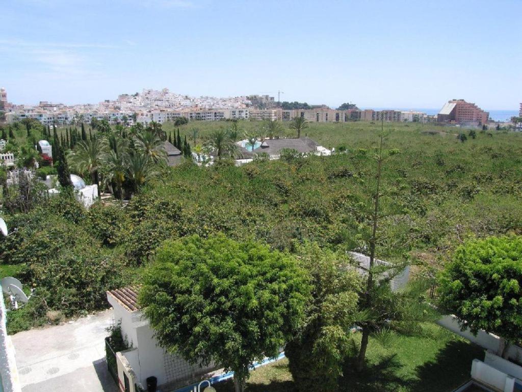 Las Palmeras Almuñécar Exteriér fotografie