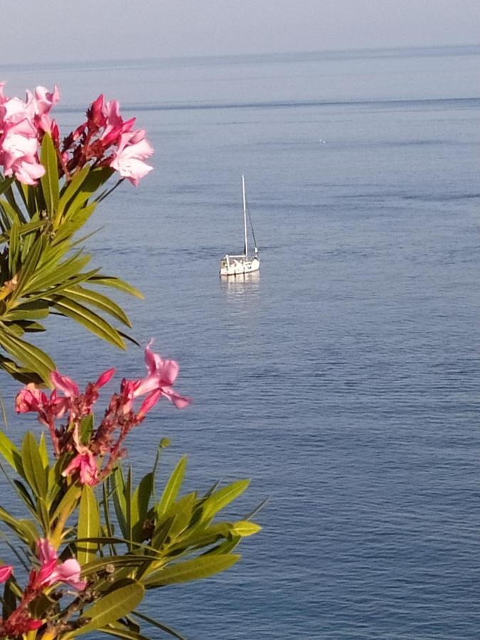 Las Palmeras Almuñécar Exteriér fotografie