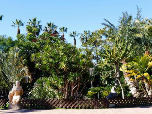 Las Palmeras Almuñécar Exteriér fotografie